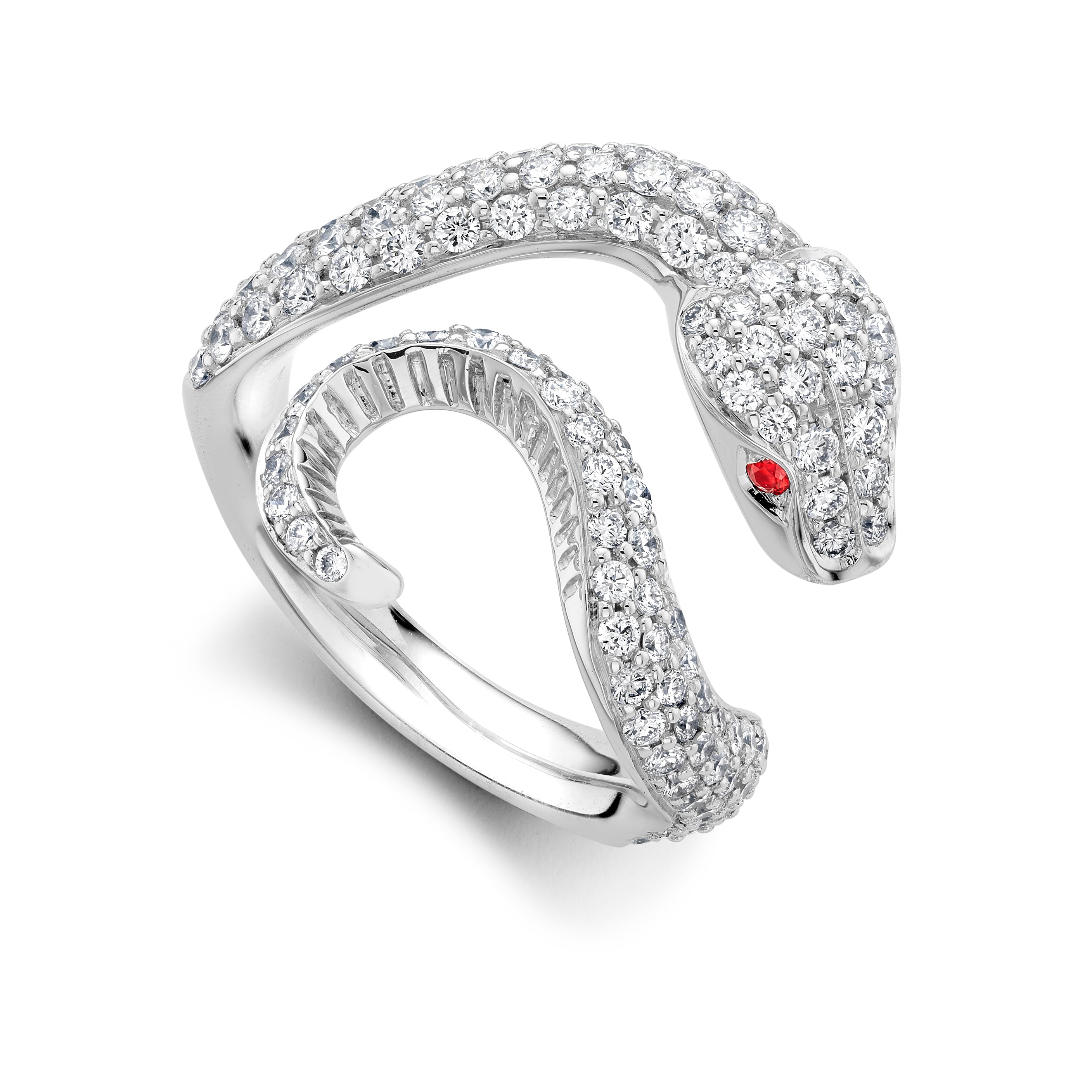 Diamond & Ruby Venym Ring