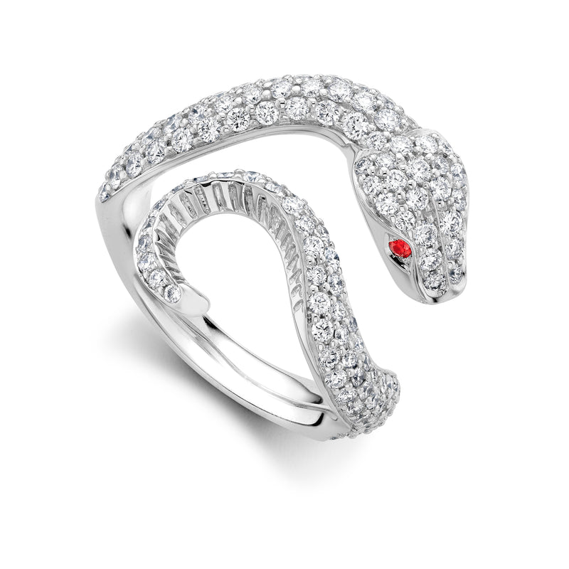 Diamond & Ruby Venym Ring