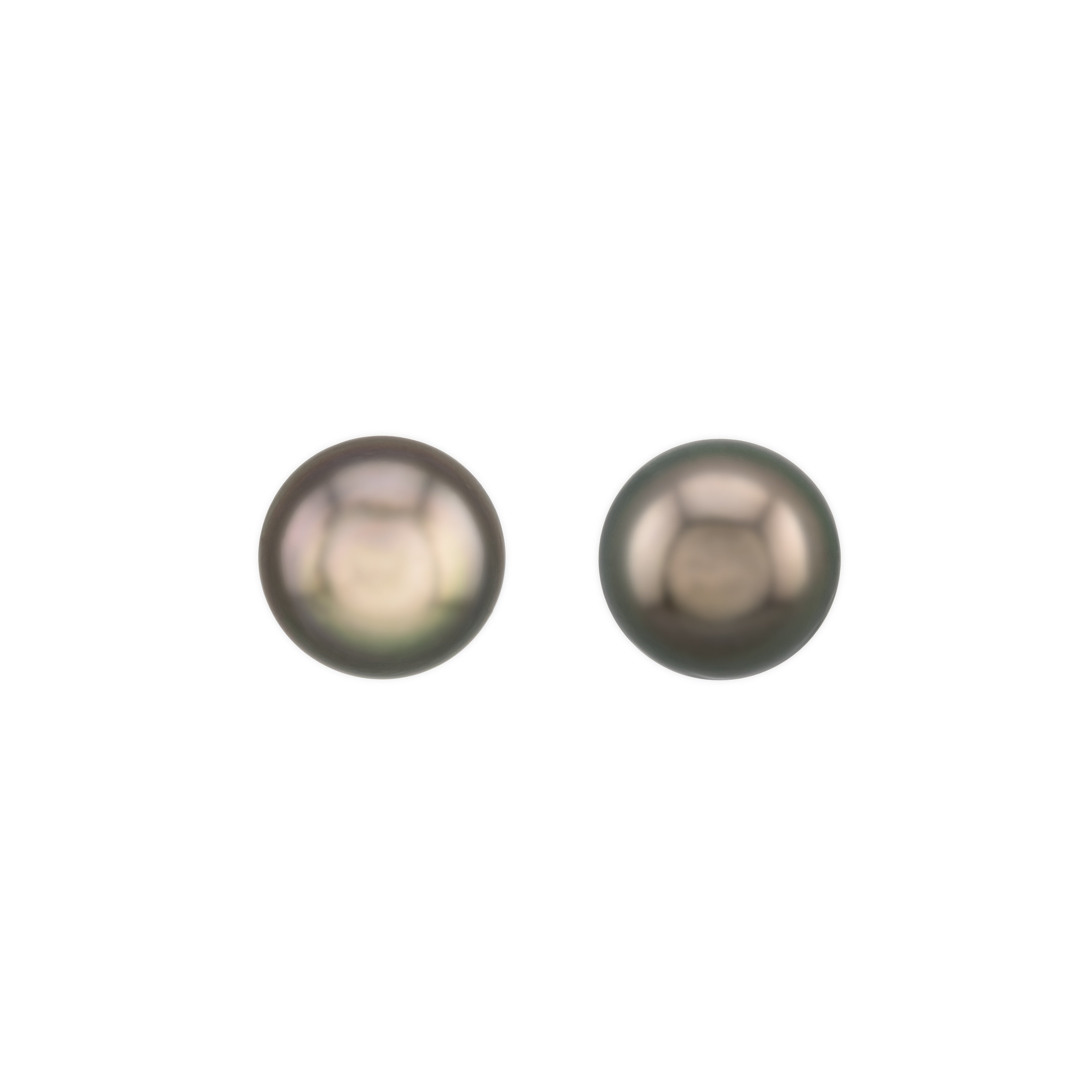 Tahitian Pearl Stud Earrings