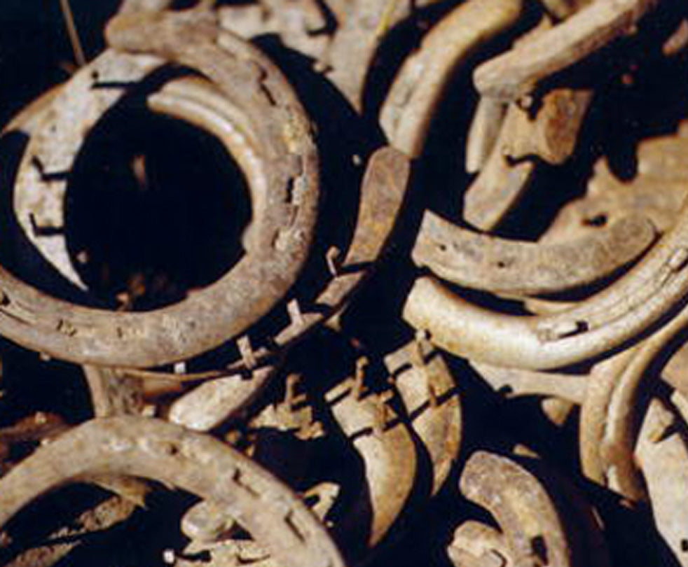 horseshoe rings glossary 1